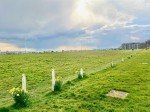 Images for Sutton Place, Bexhill on Sea, East Sussex