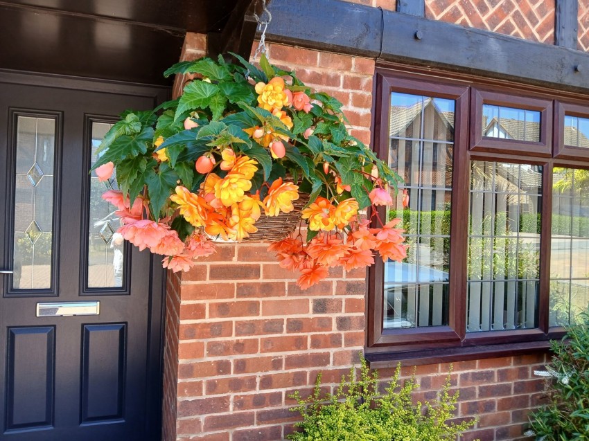 Images for Magpie Close, Bexhill on Sea, East Sussex