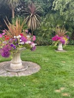 Images for Ninfield, Battle, East Sussex