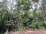 Images for Crowhurst, Battle, East Sussex