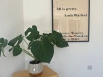 Images for Cantelupe Road, Bexhill on Sea, East Sussex
